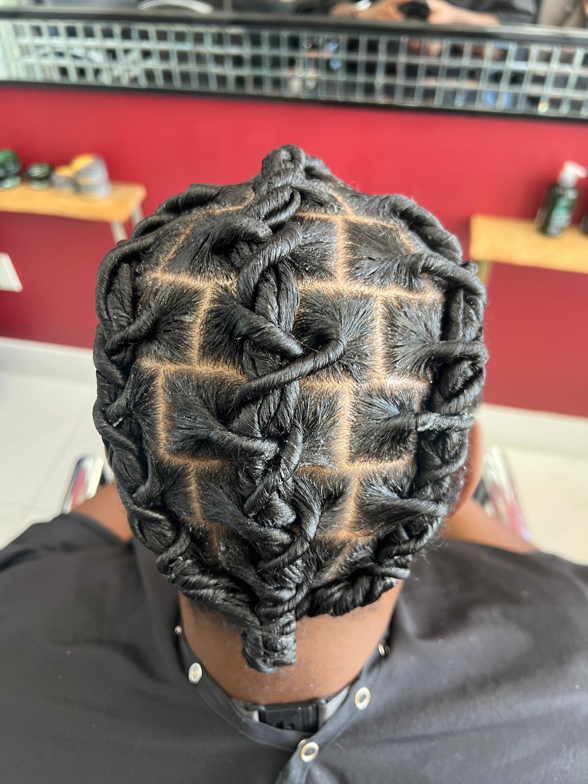 Professionally maintained and styled locs
